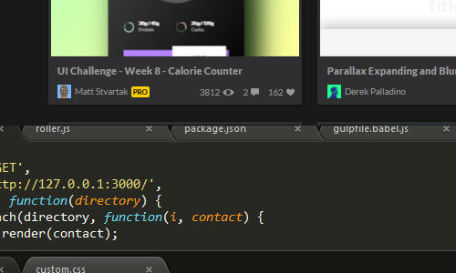 project portfolio