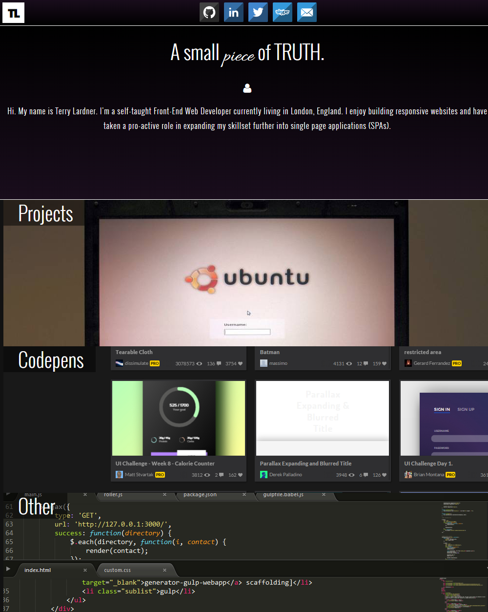 project portfolio full